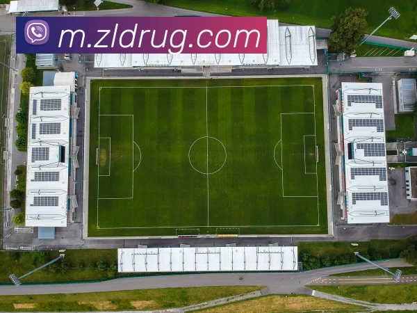 数据防护可视化